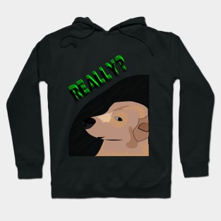 Really meme Funny meme dog, cool doggo, really Hoodie